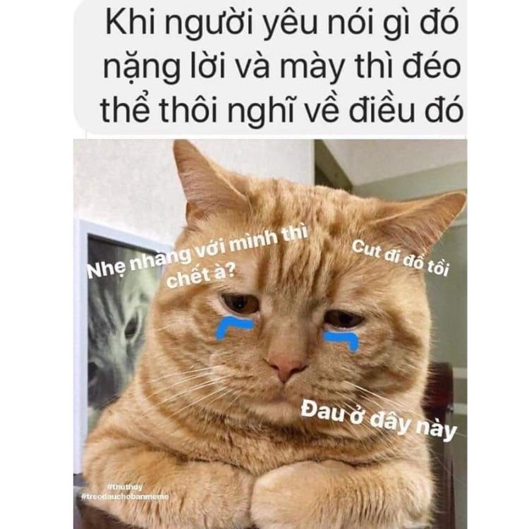 meme đau tim buồn cười