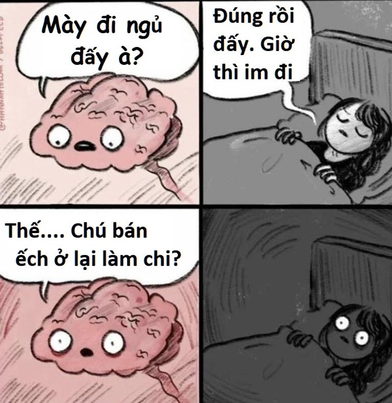 meme dễ thương ngủ đi