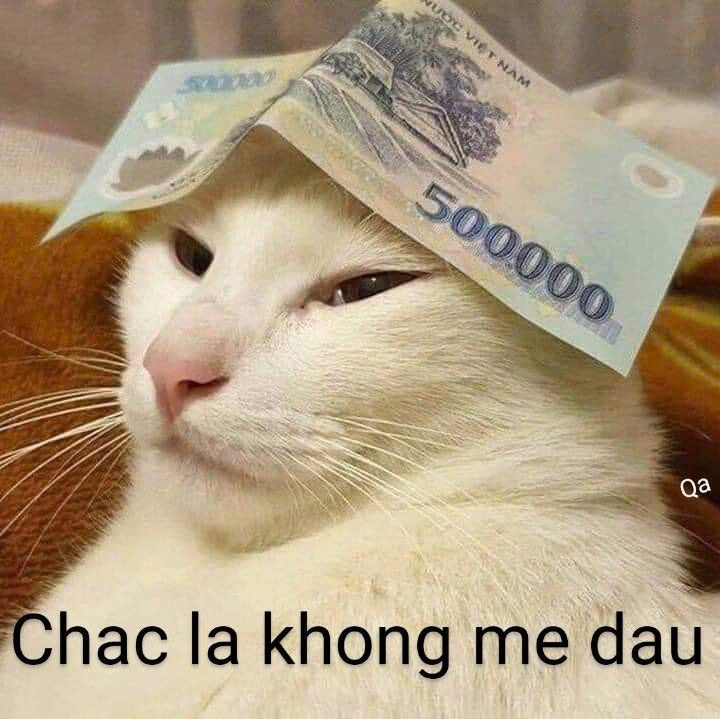 meme đưa tiền hài hước