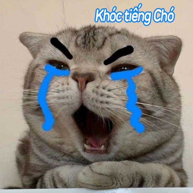 meme giận dỗi cute 0029