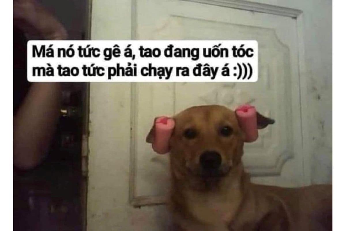 meme giận 0034