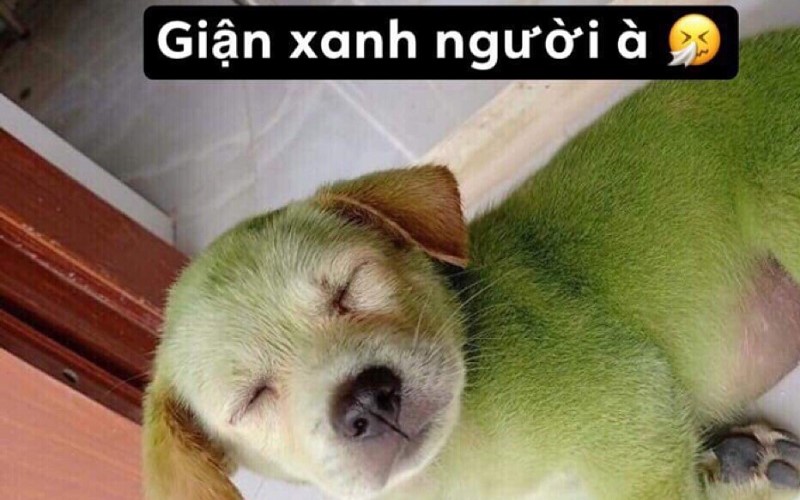 meme giận 0037