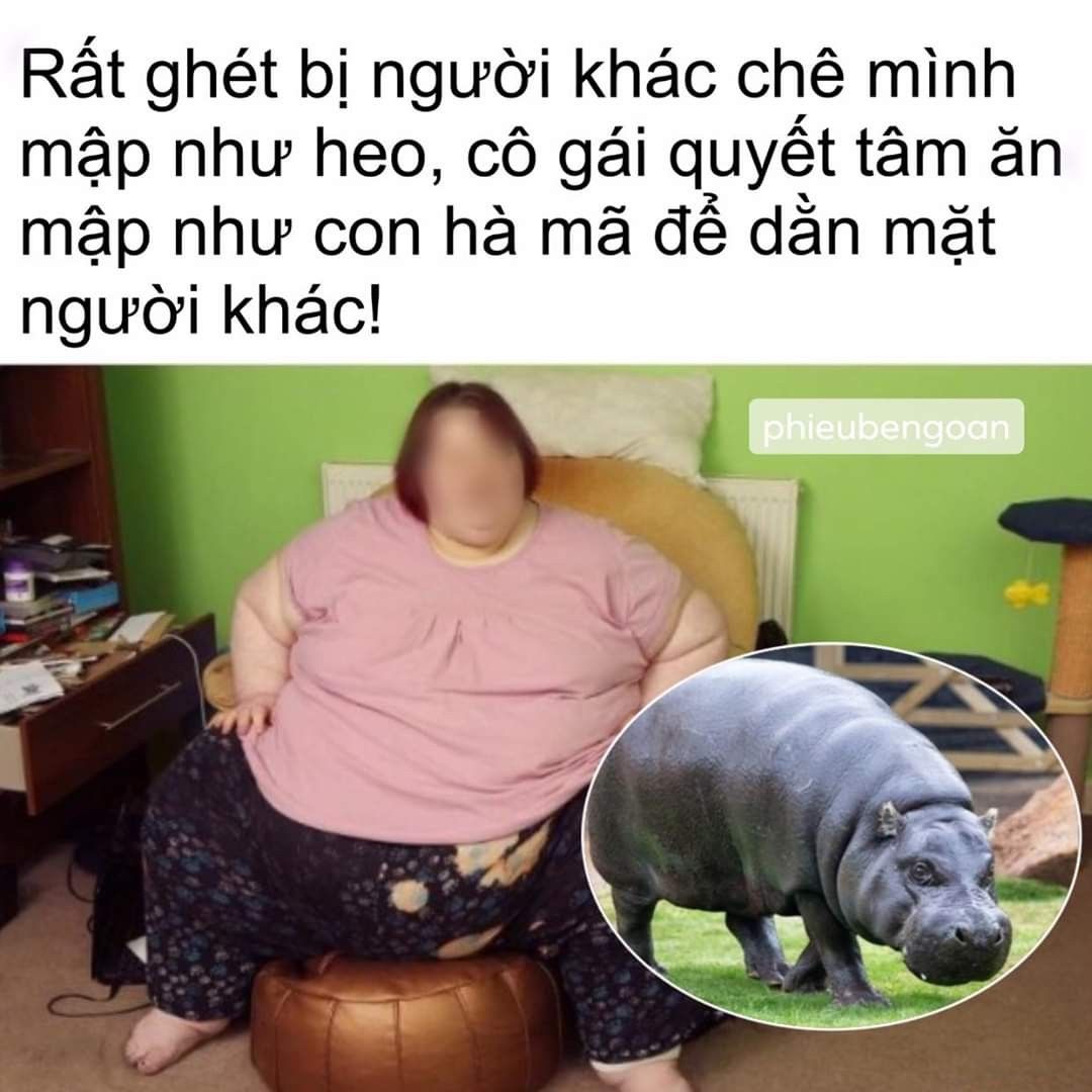 meme hà mã 0037