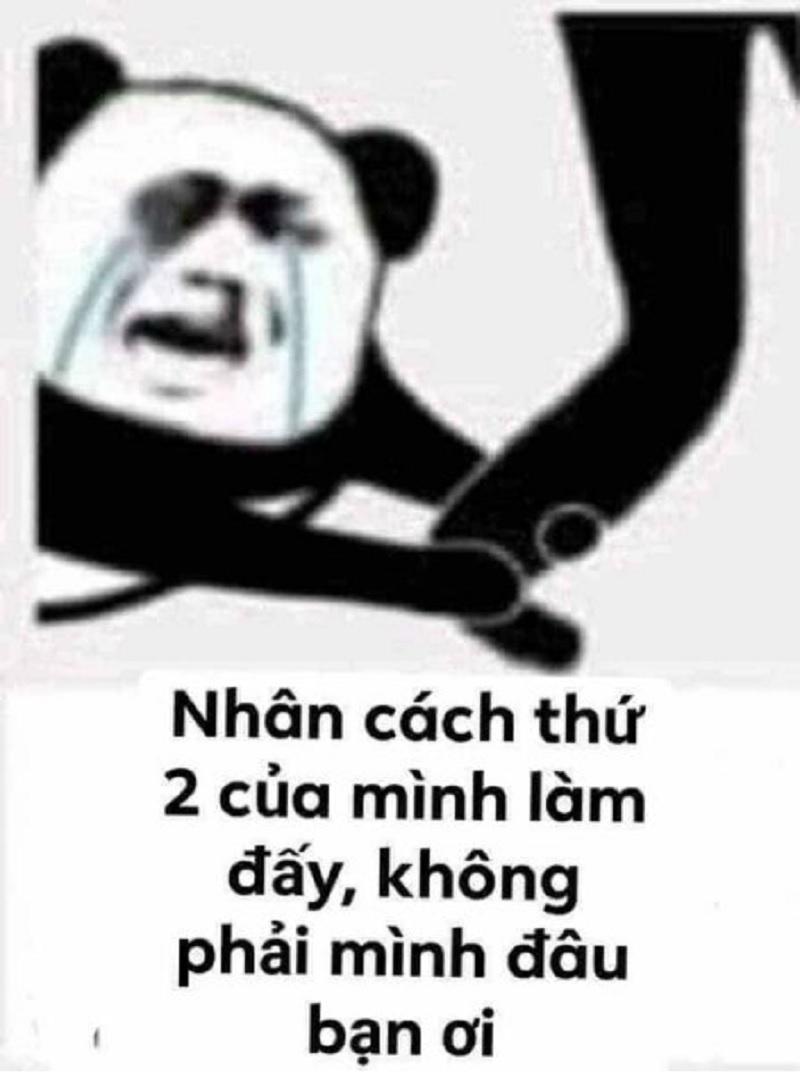 meme hài trung quốc 0036