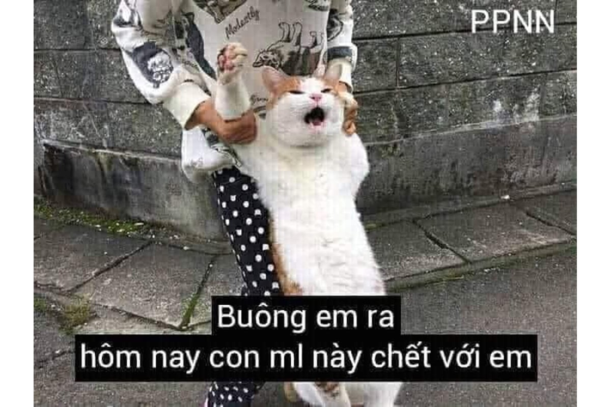 meme hoảng hốt 0036