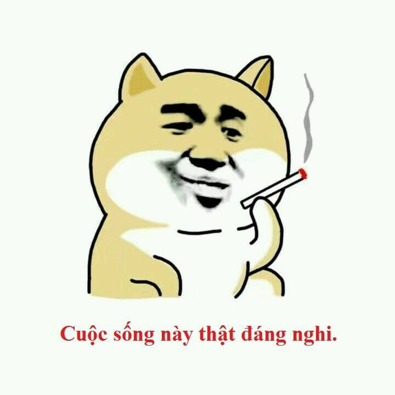 meme khinh bỉ hài hước