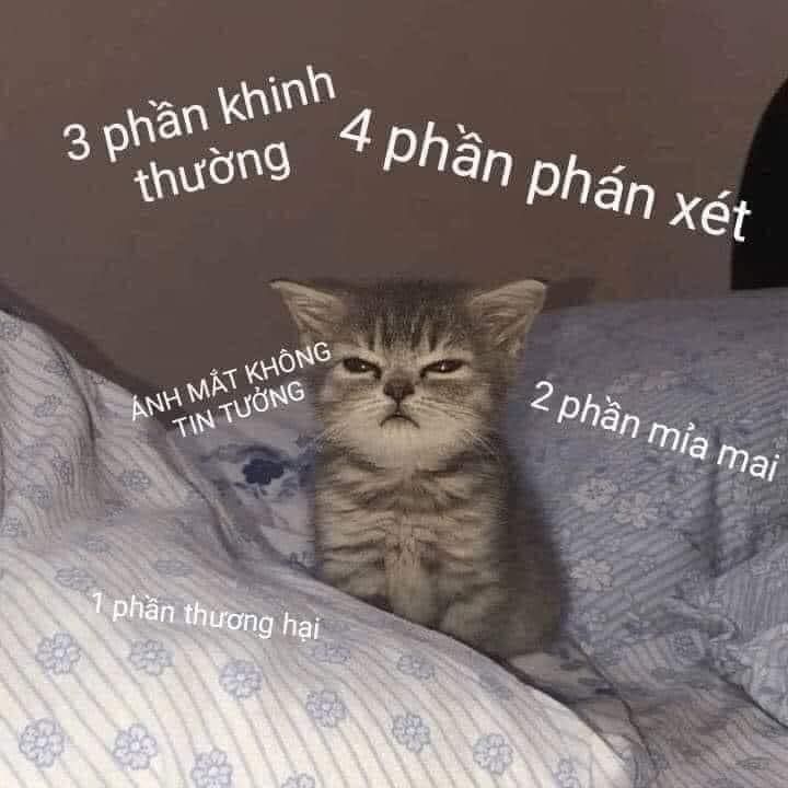 meme khinh bỉ và phản ứng