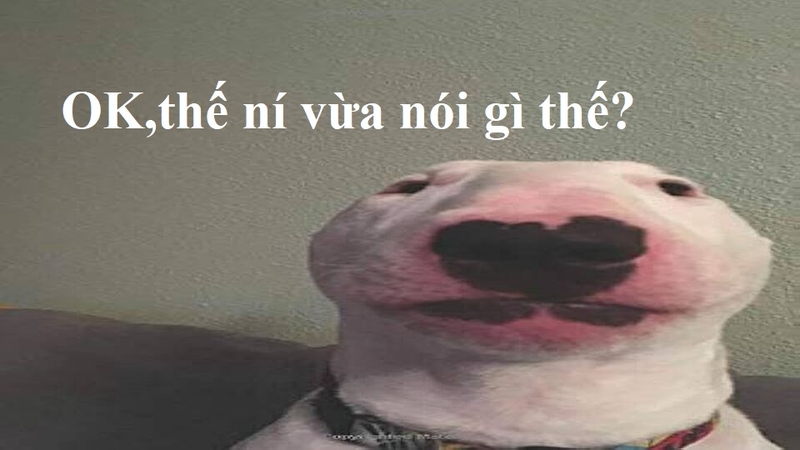 meme khó hiểu 0023