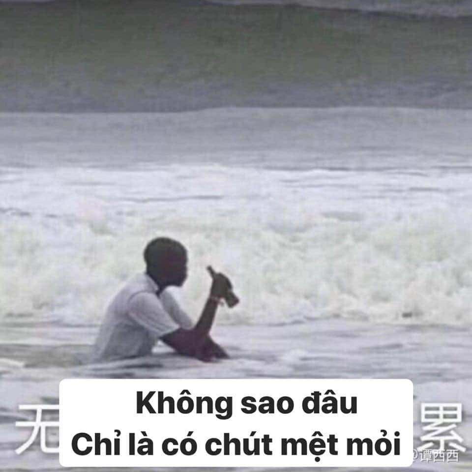 meme không có chi trending