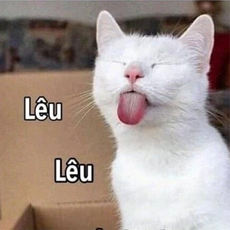 meme lêu lêu hot nhất