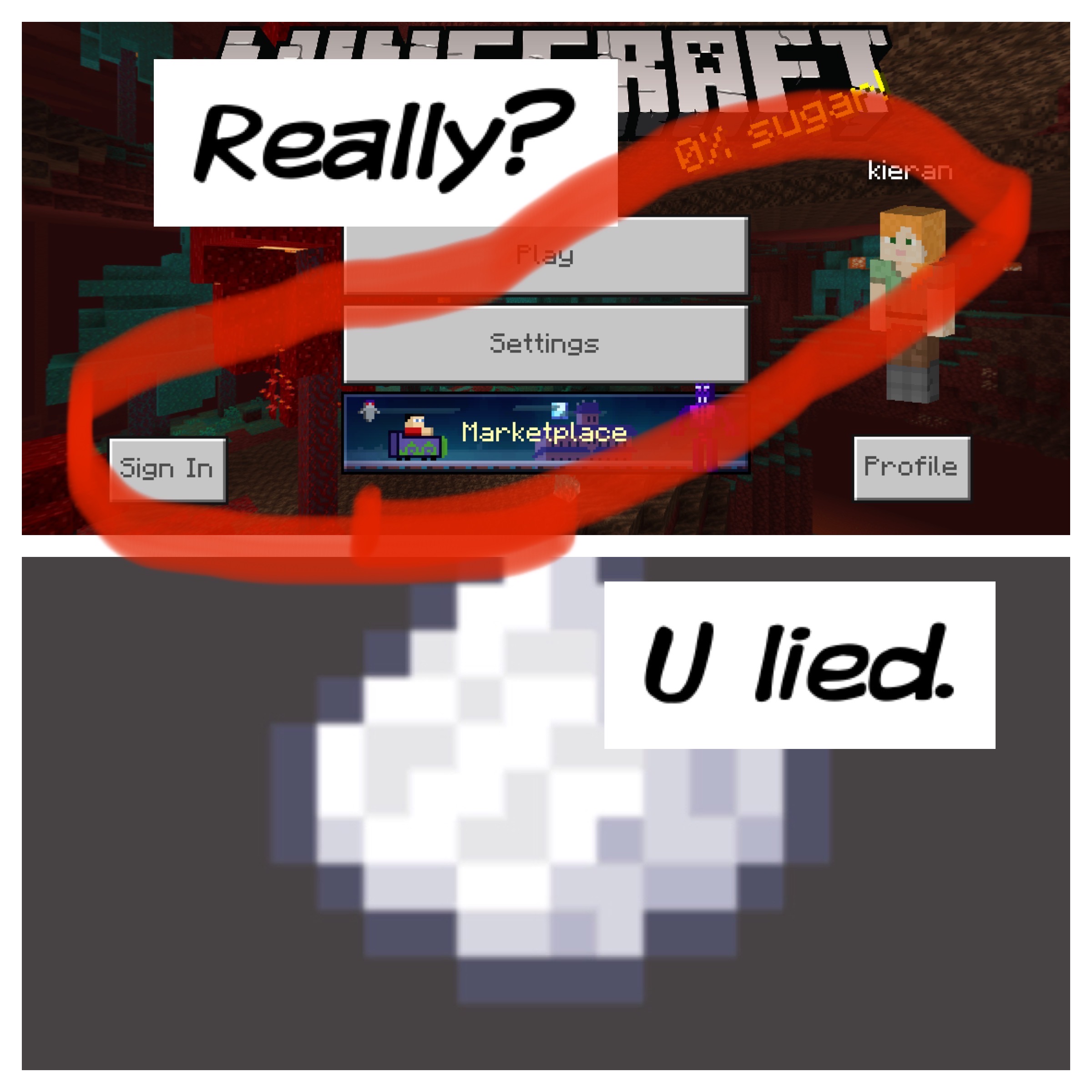 meme Minecraft 0025