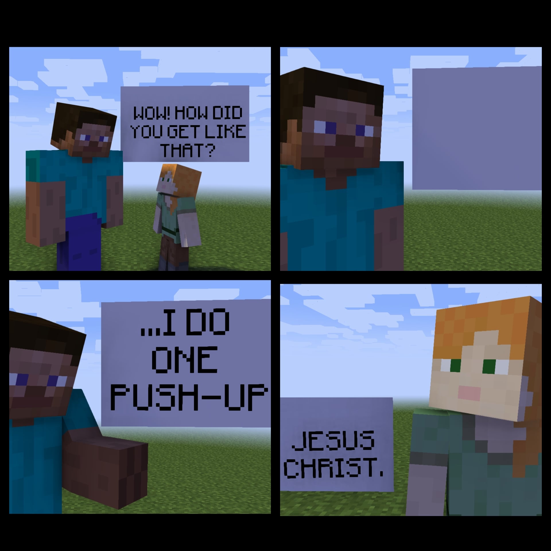 meme Minecraft 0027