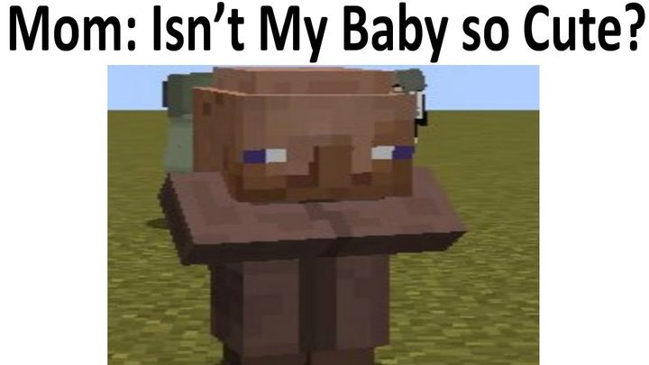 meme Minecraft 0028