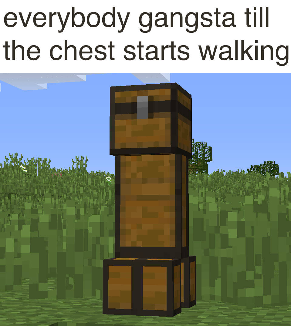 meme Minecraft 0030