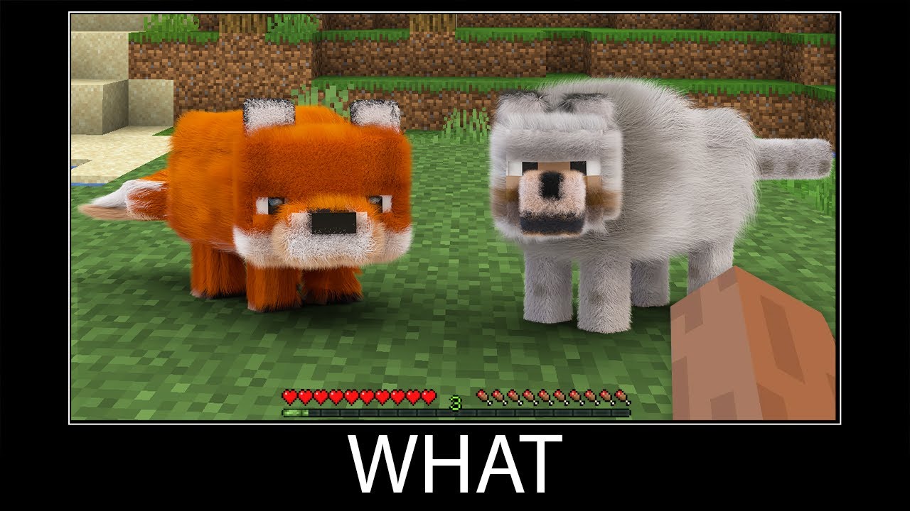 meme Minecraft 0036