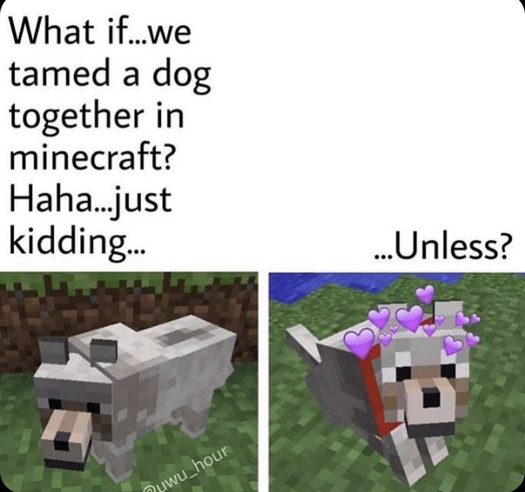 meme Minecraft 0038