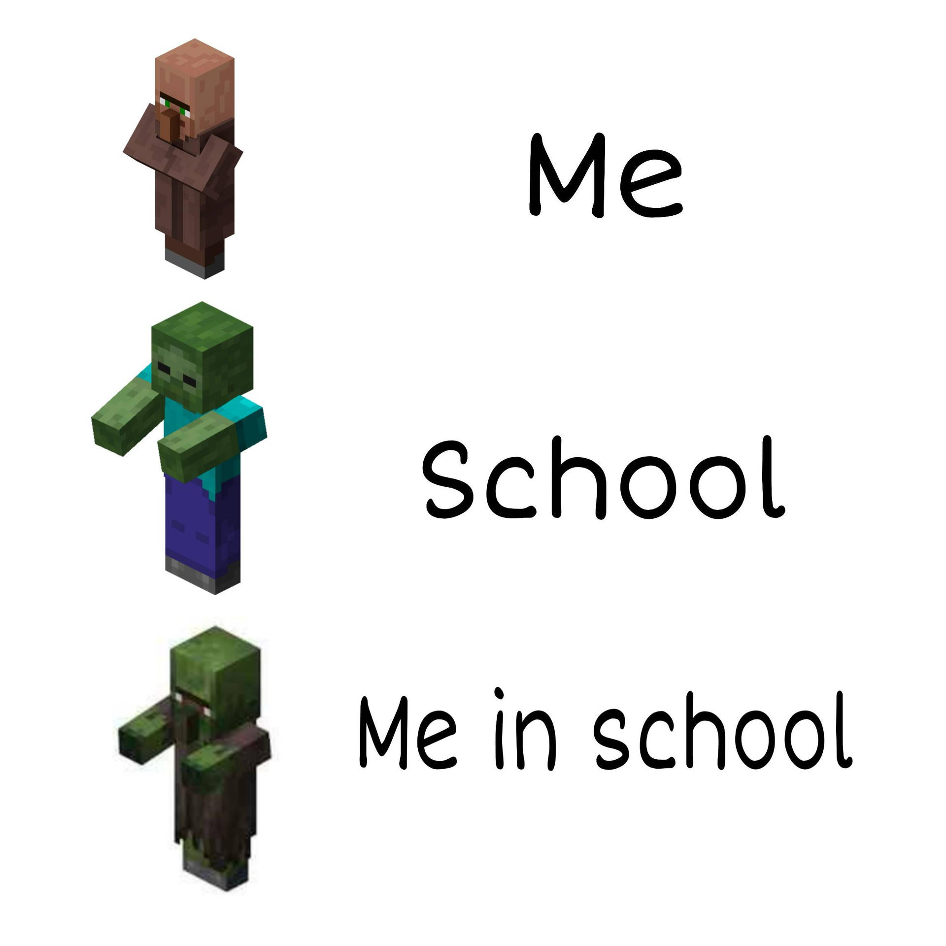 meme Minecraft 0047