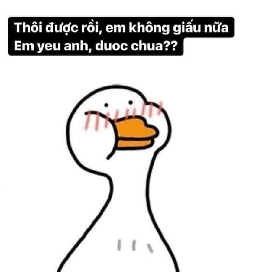 meme ngại ngùng 0037