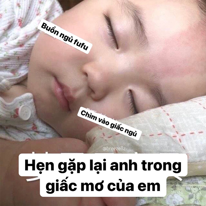 meme ngủ