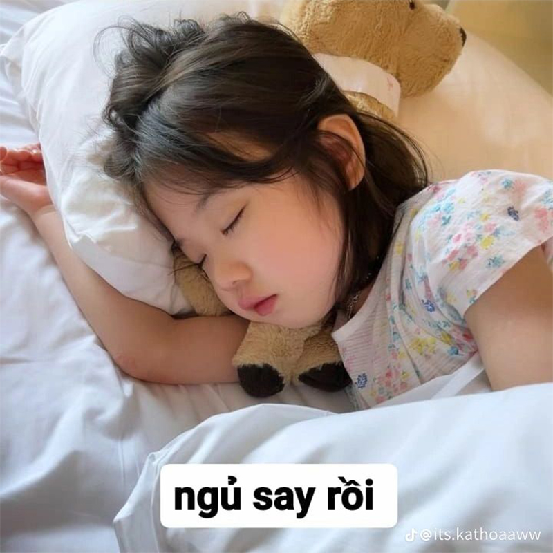 meme ngủ 0022