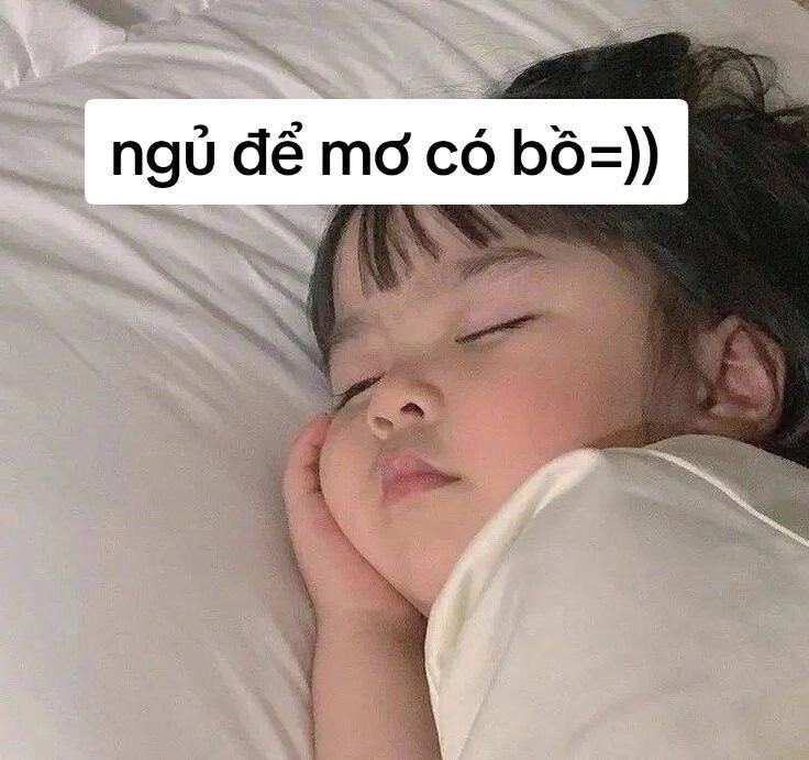 meme ngủ 0033