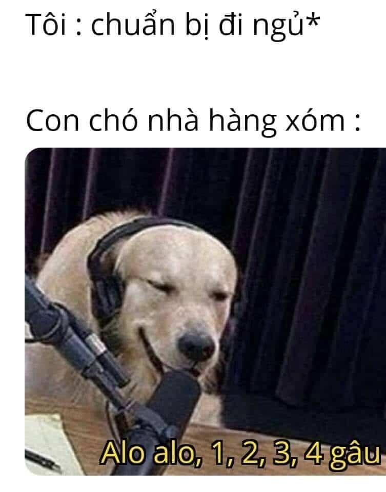 meme ngủ 0037