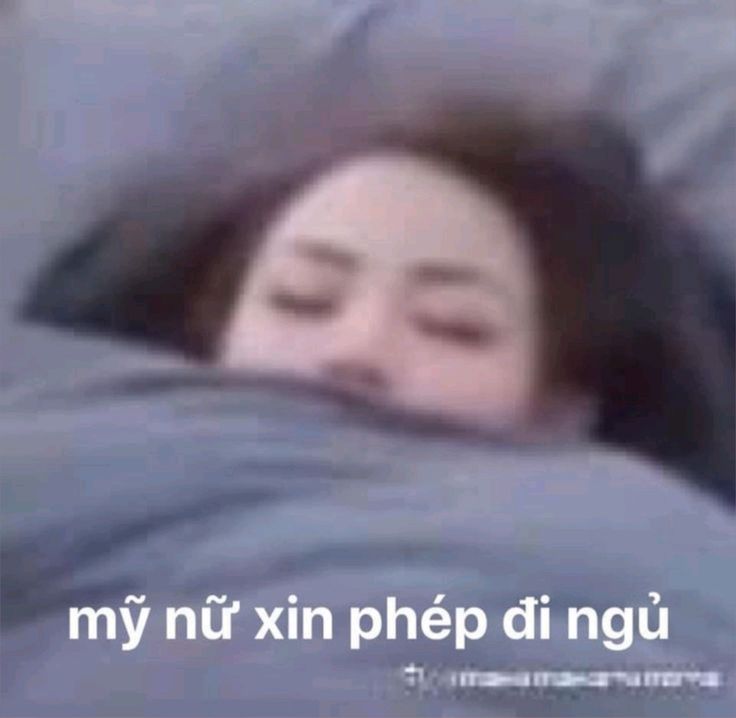 meme ngủ 0046