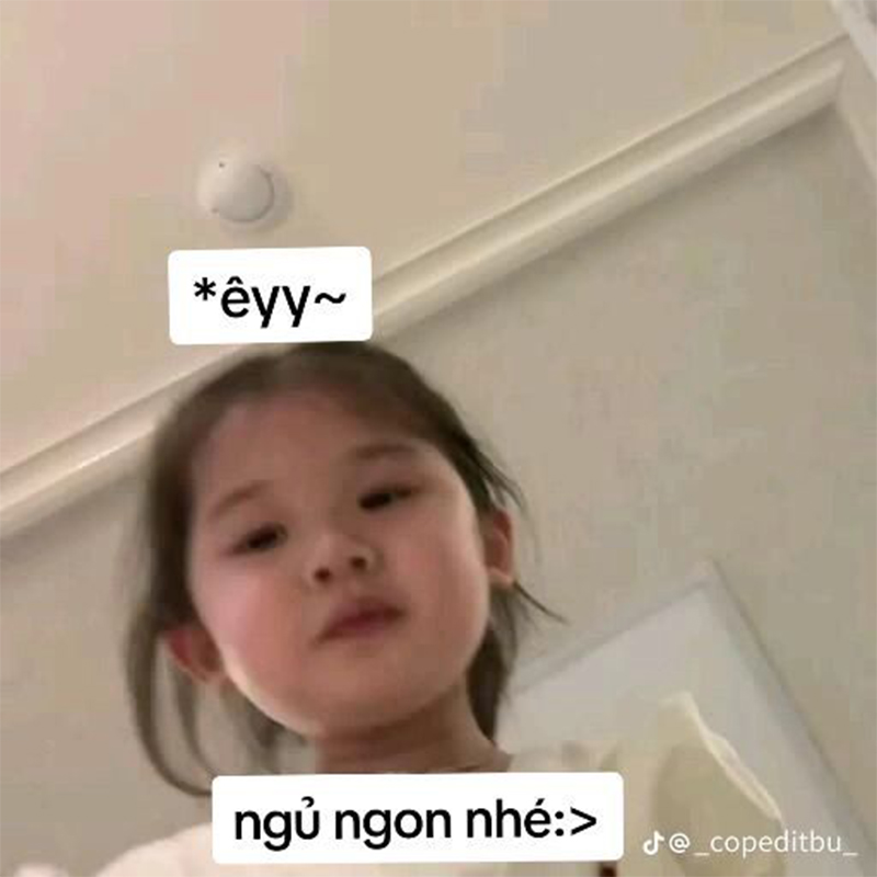 meme ngủ ngon vui nhộn