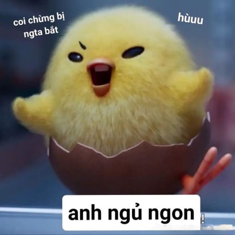 meme ngủ ngon 0023