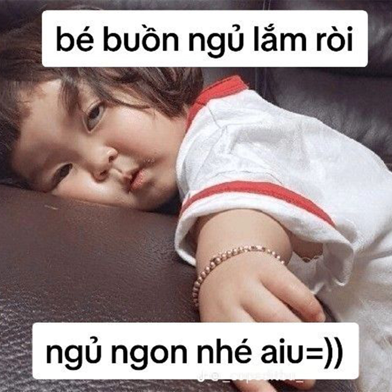 meme ngủ ngon 0040