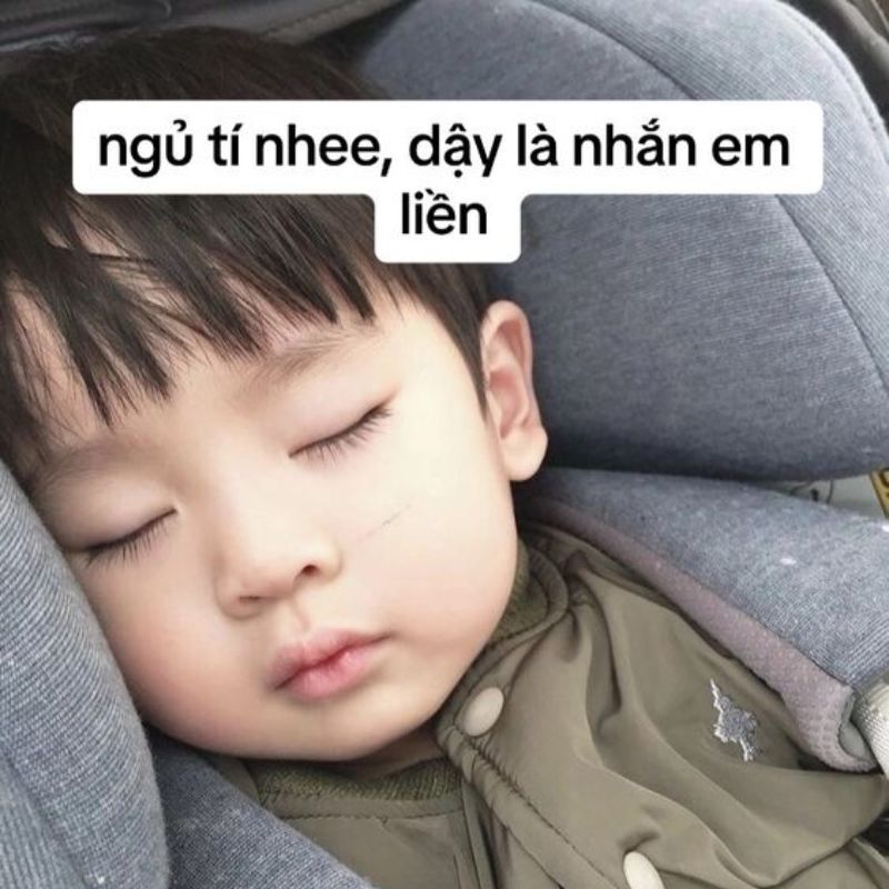 meme ngủ ngon 0047