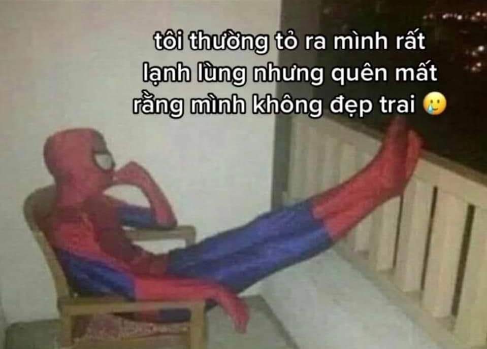 meme người nhện 0030