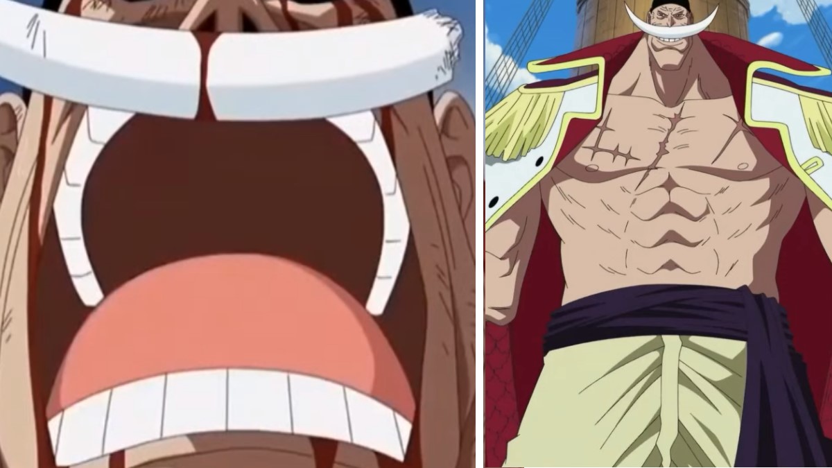 meme one piece 0028