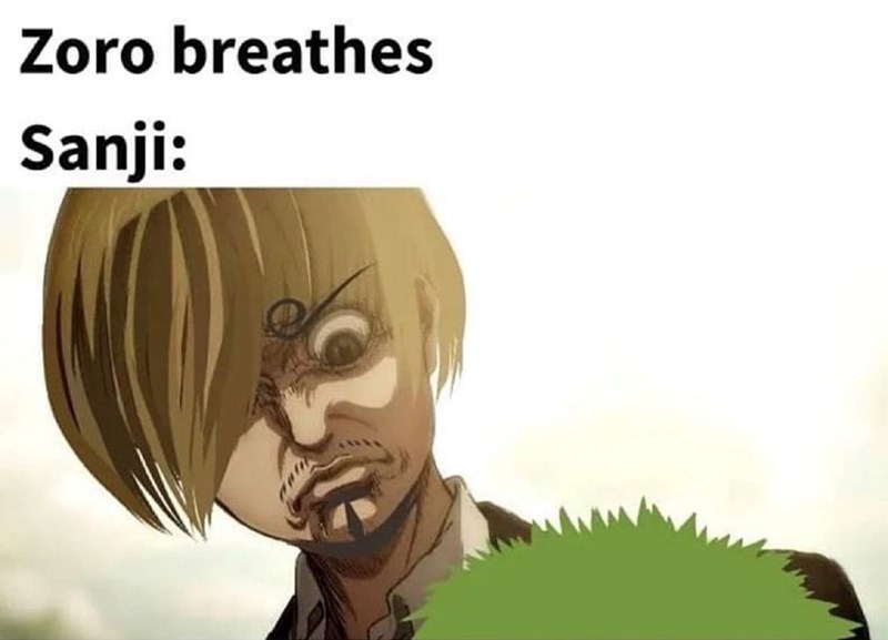 meme one piece 0040