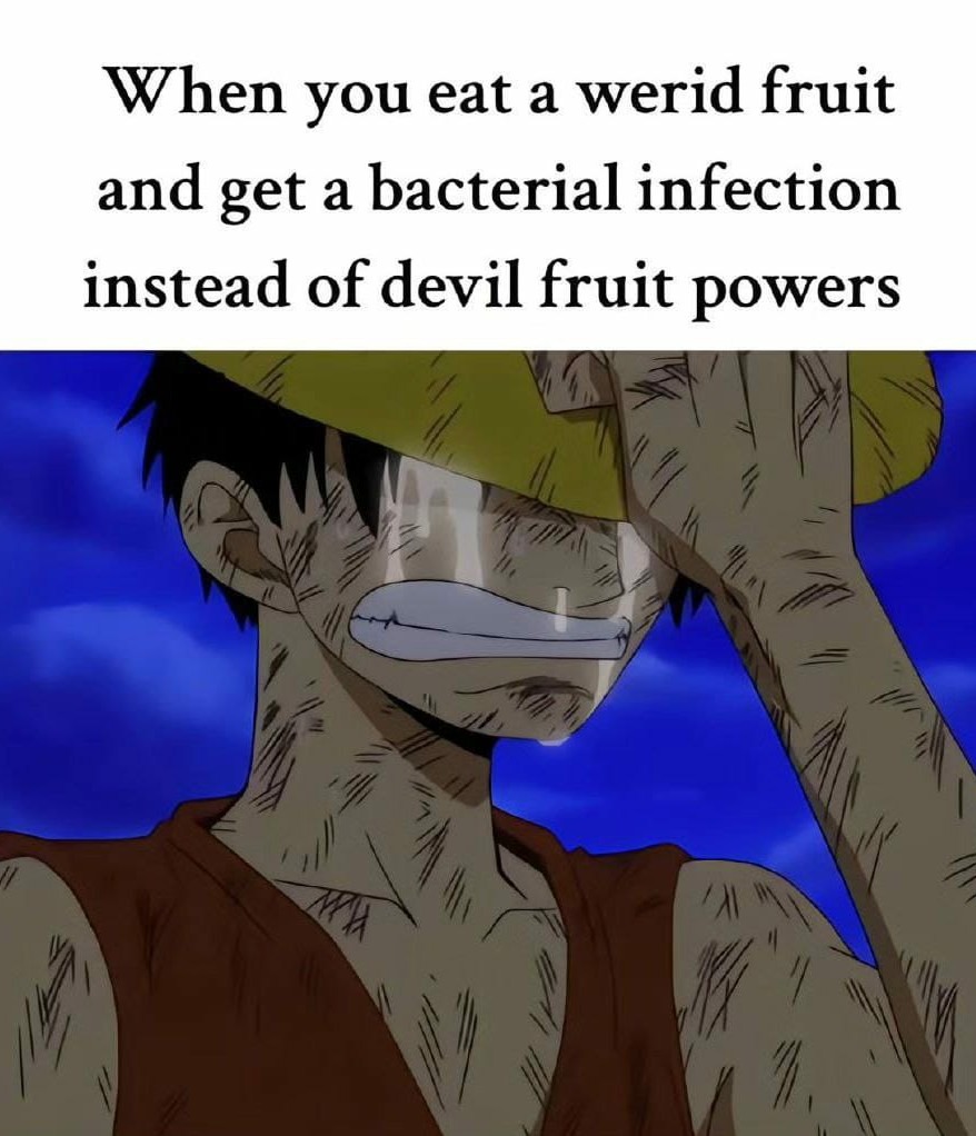 meme one piece 0046