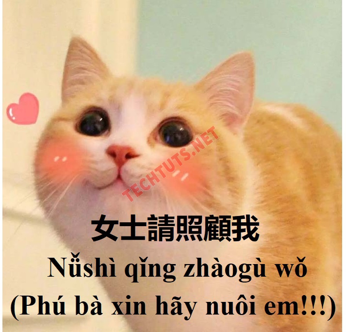 meme phú bà xin hãy bao nuôi tôi