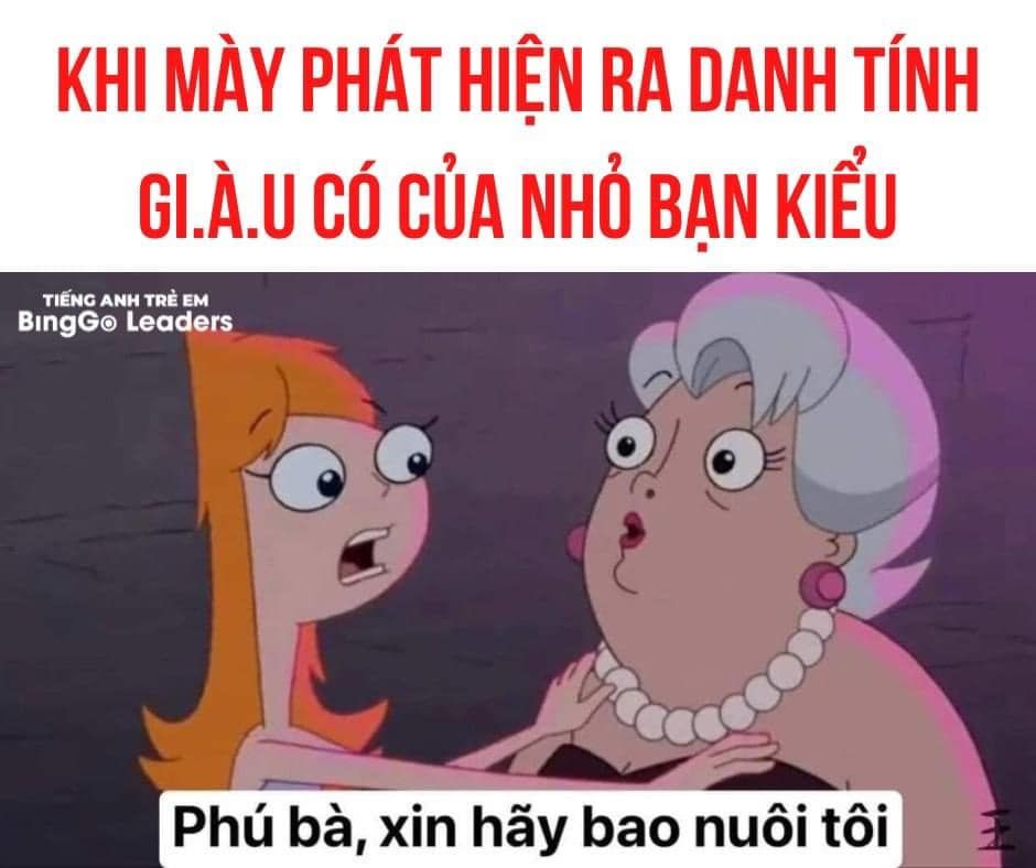 meme phú bà