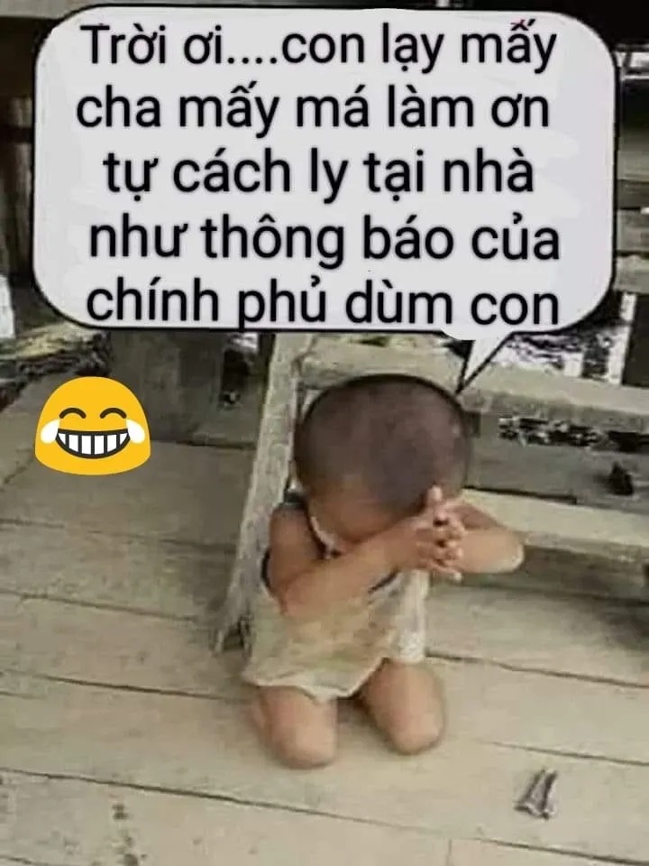 meme quỳ lạy gây sốt.