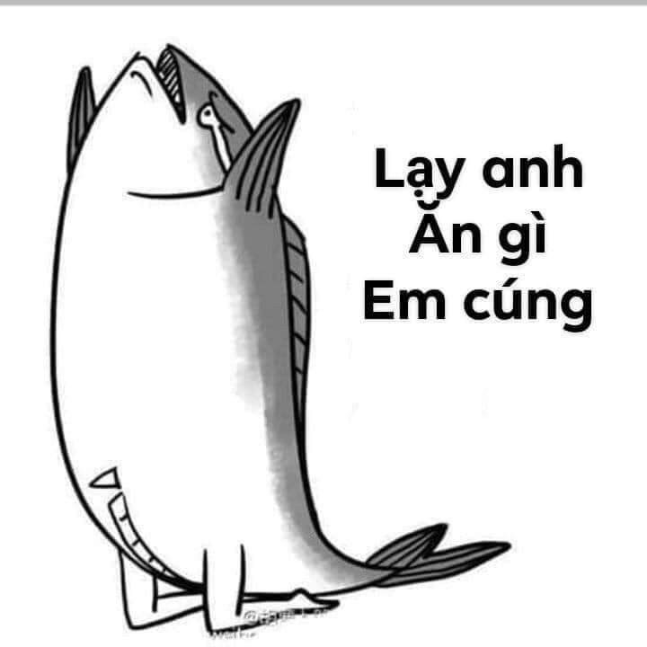 meme quỳ