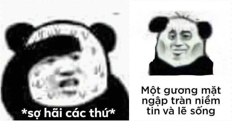 meme sợ hãi hot