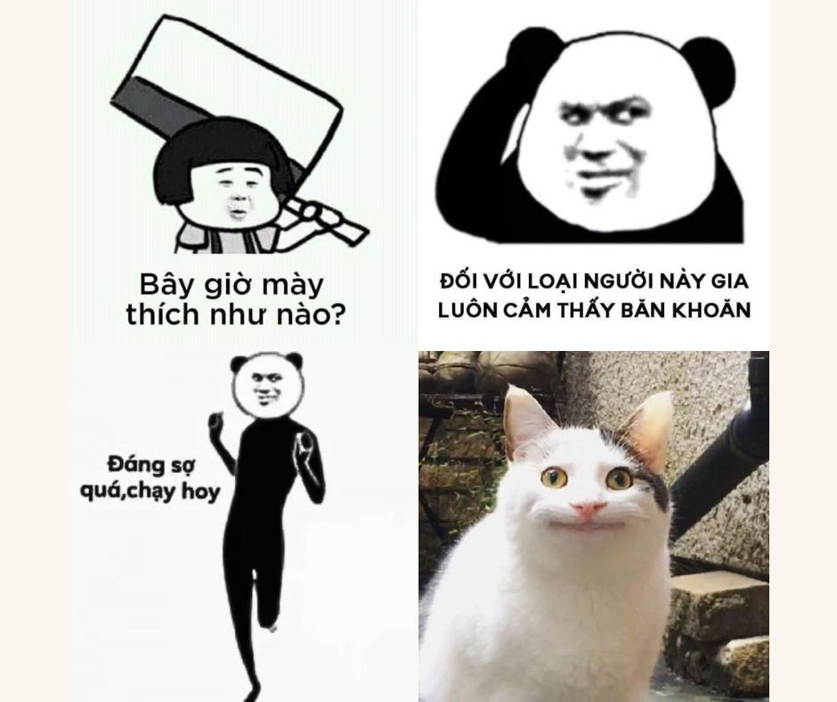 meme sợ quá dễ thương