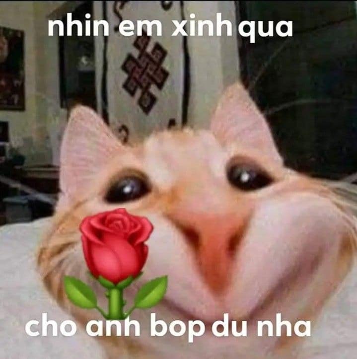 meme tặng hoa 0048