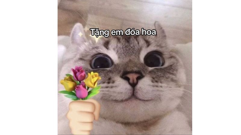 meme tặng hoa 0049