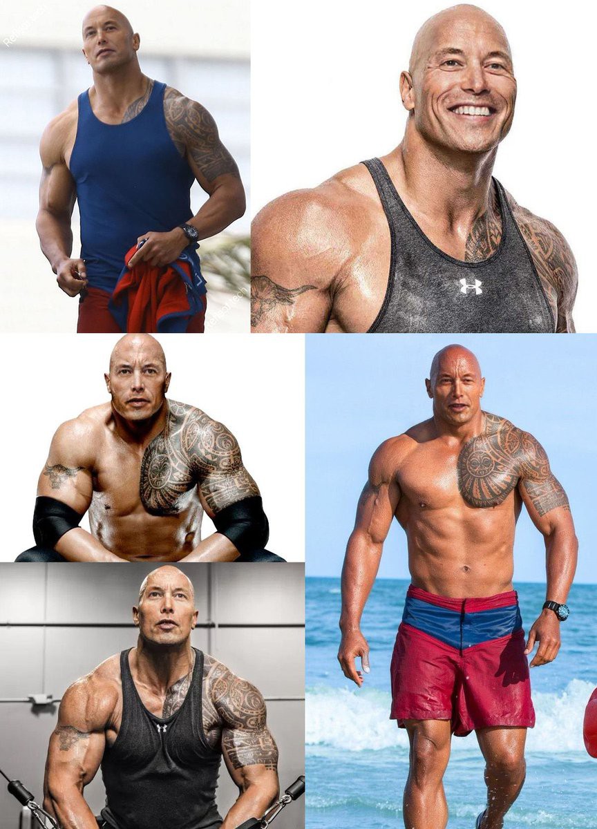 meme the rock độc đáo