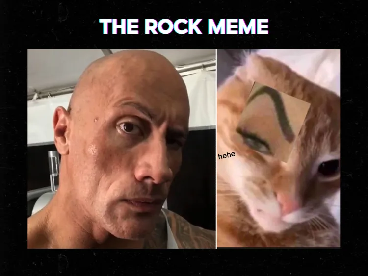 meme the rock trên Instagram