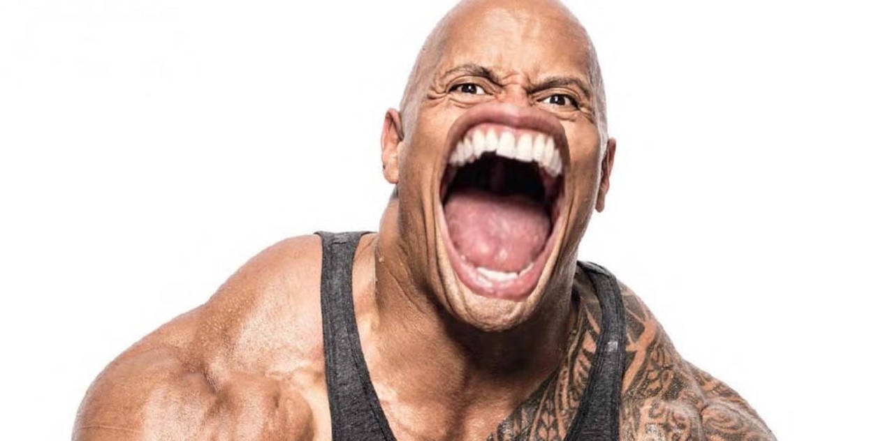 meme the rock 0022