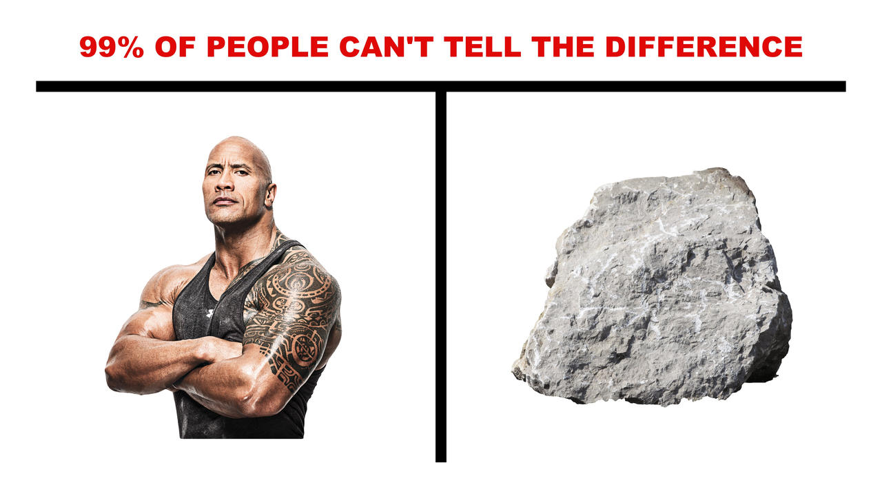 meme the rock 0035