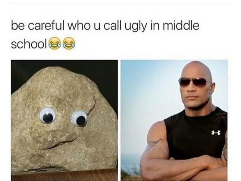 meme the rock 0037