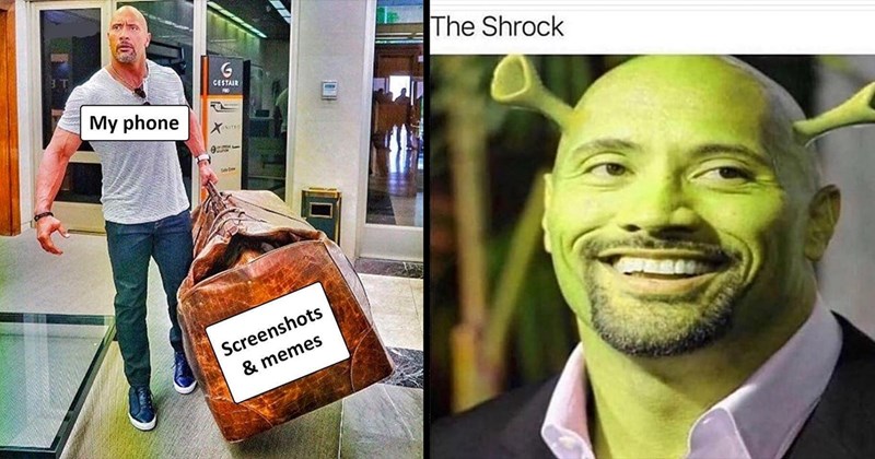 meme the rock 0047