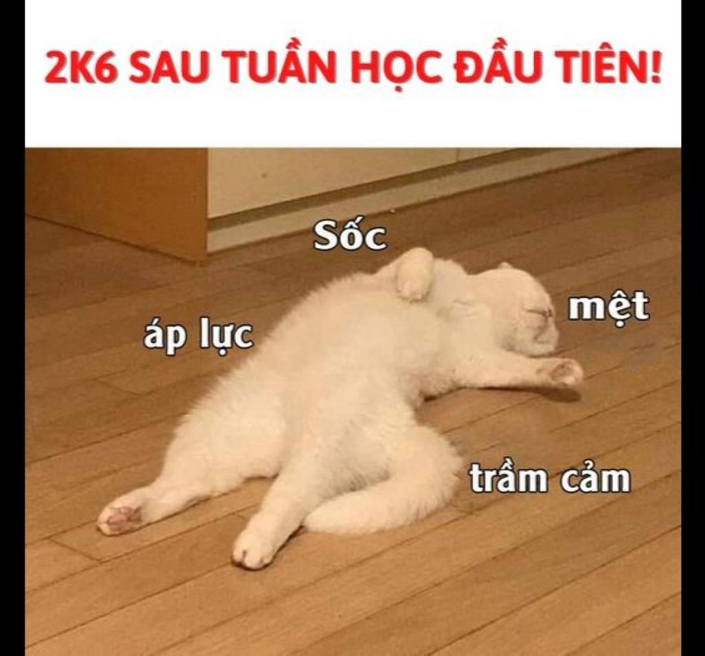 meme trầm cảm 0026